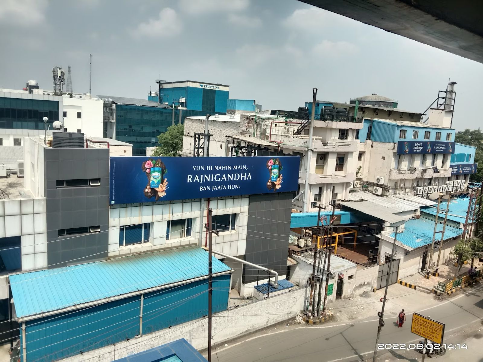 Rajnigandha Plant, Noida